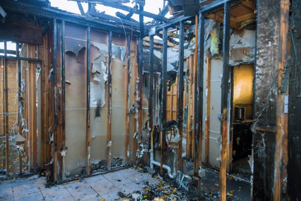 Professional Fire Damage Removal technician working in Belleview, FL